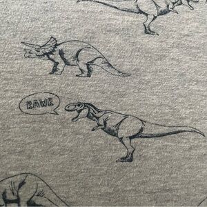 Women’s Small Sugarhill Boutique Charcoal Dinosaur Graphic Sweatshirt Dinos